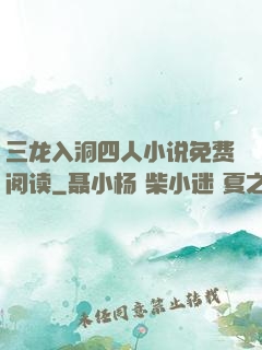 三龙入洞四人小说免费阅读